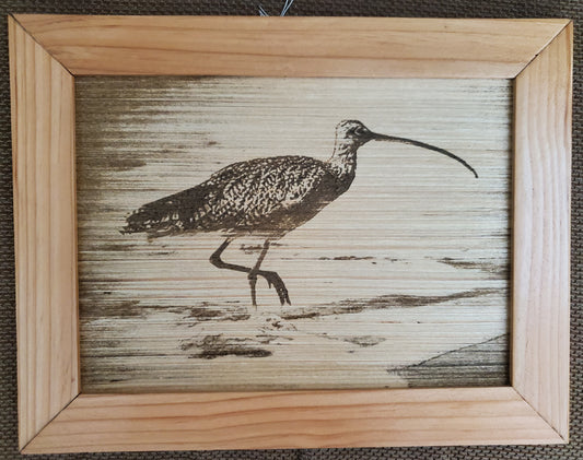 Burnt wood pictures with Handmade frames