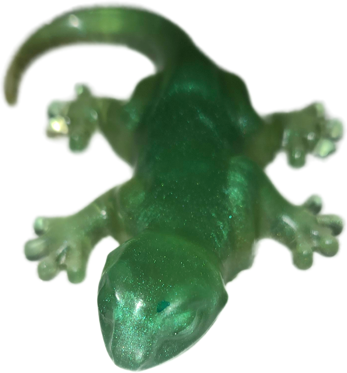 Animal misc