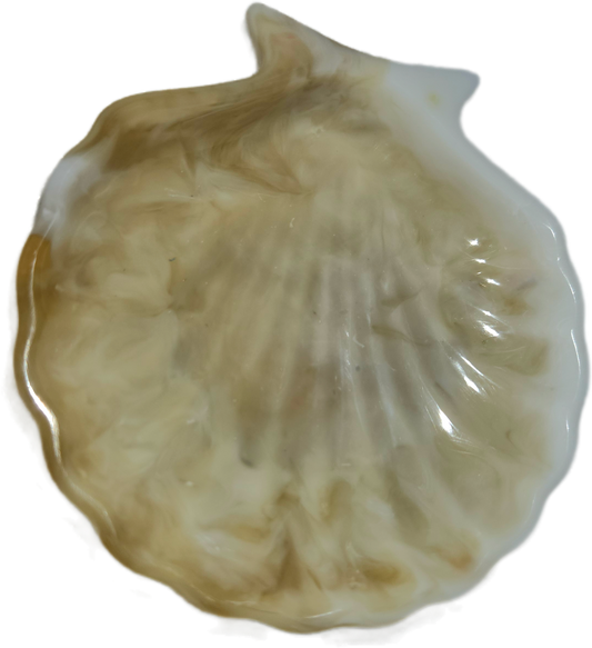 Jewelry holder (seashell)