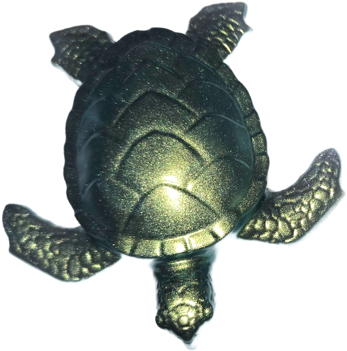 Animal misc